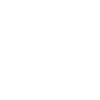 Home Icon